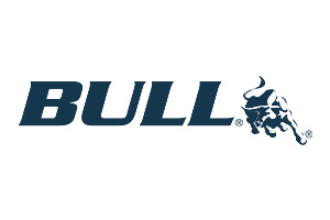 Bull BBQ Logo