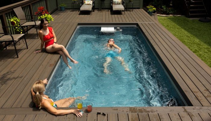 Endless Pool EP508 Plus - Image 4